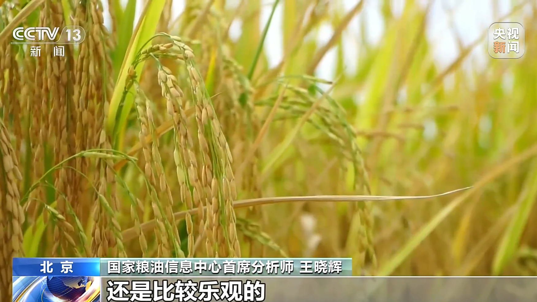 <CMSPRO_DOCUMENT FIELD='title' num='25'>標題</CMSPRO_DOCUMENT>