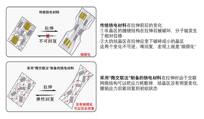 <CMSPRO_DOCUMENT FIELD='title' num='25'>標題</CMSPRO_DOCUMENT>