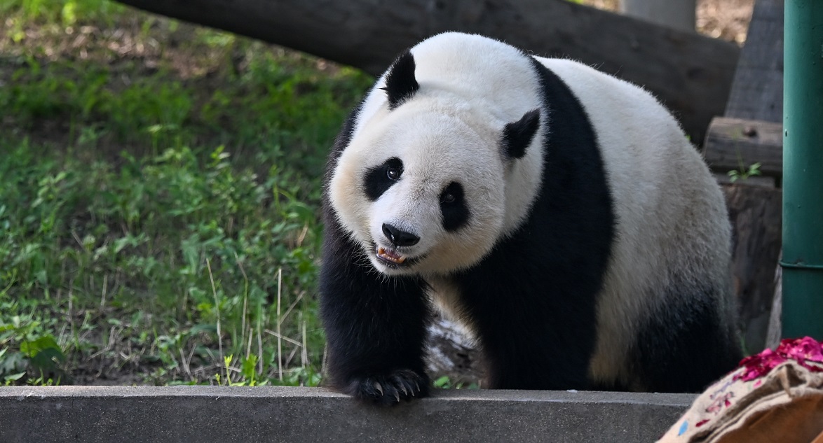 <CMSPRO_DOCUMENT FIELD='title' num='25'>標題</CMSPRO_DOCUMENT>