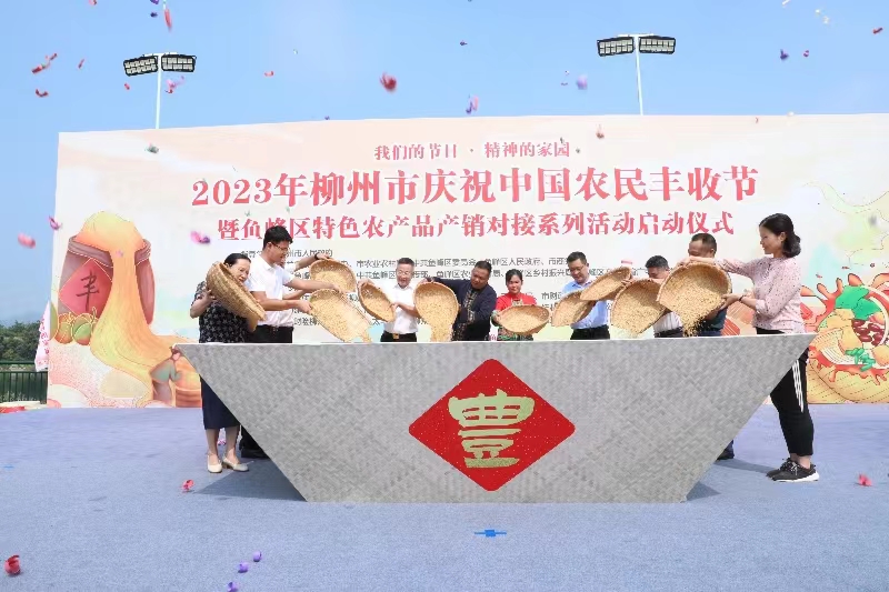 <CMSPRO_DOCUMENT FIELD='title' num='25'>標題</CMSPRO_DOCUMENT>