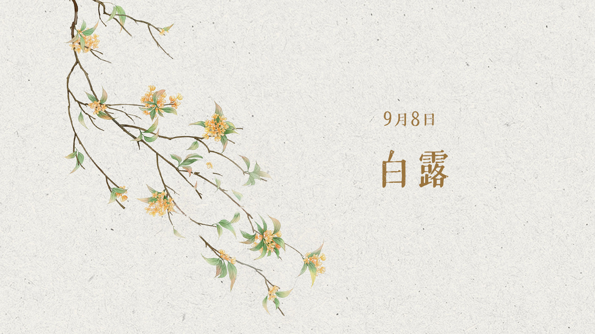 <CMSPRO_DOCUMENT FIELD='title' num='25'>標題</CMSPRO_DOCUMENT>